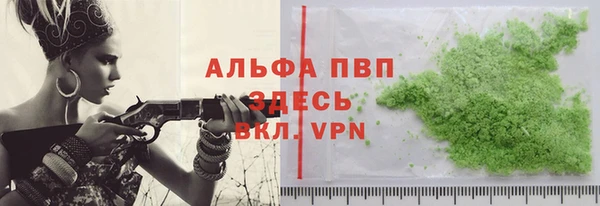 прущие грибы Абаза