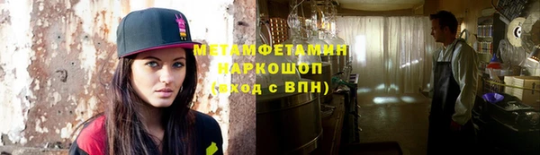 прущие грибы Абаза