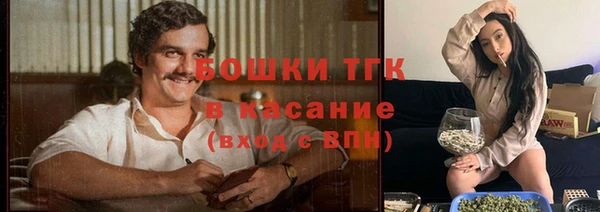 тгк Абинск