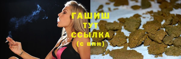 прущие грибы Абаза