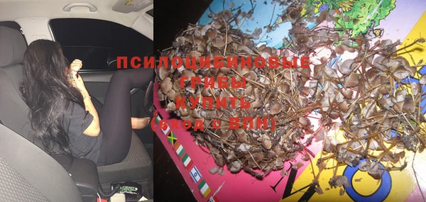 тгк Абинск