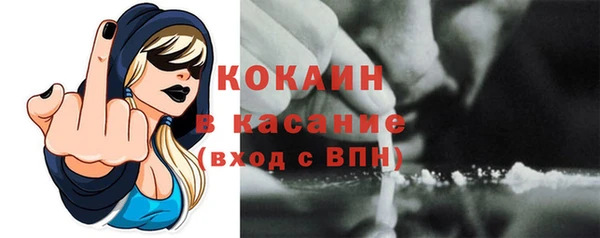 прущие грибы Абаза
