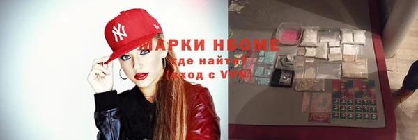 прущие грибы Абаза