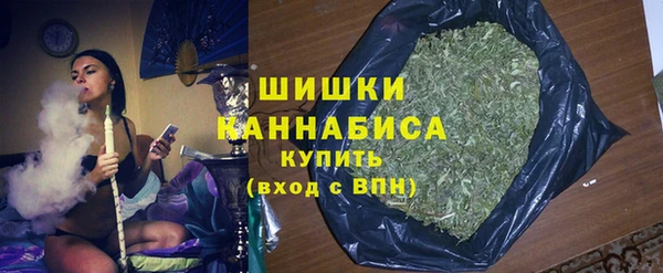 прущие грибы Абаза