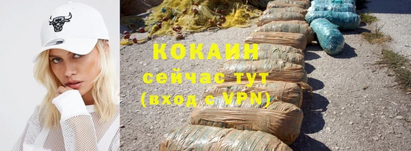 прущие грибы Абаза